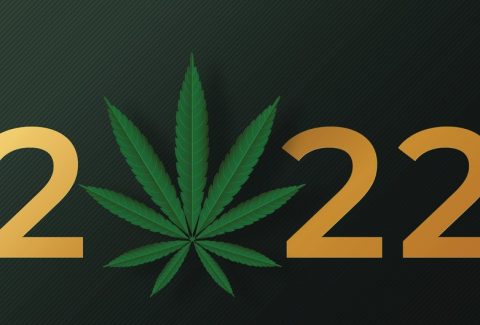 cannabis-prediction-2022-test